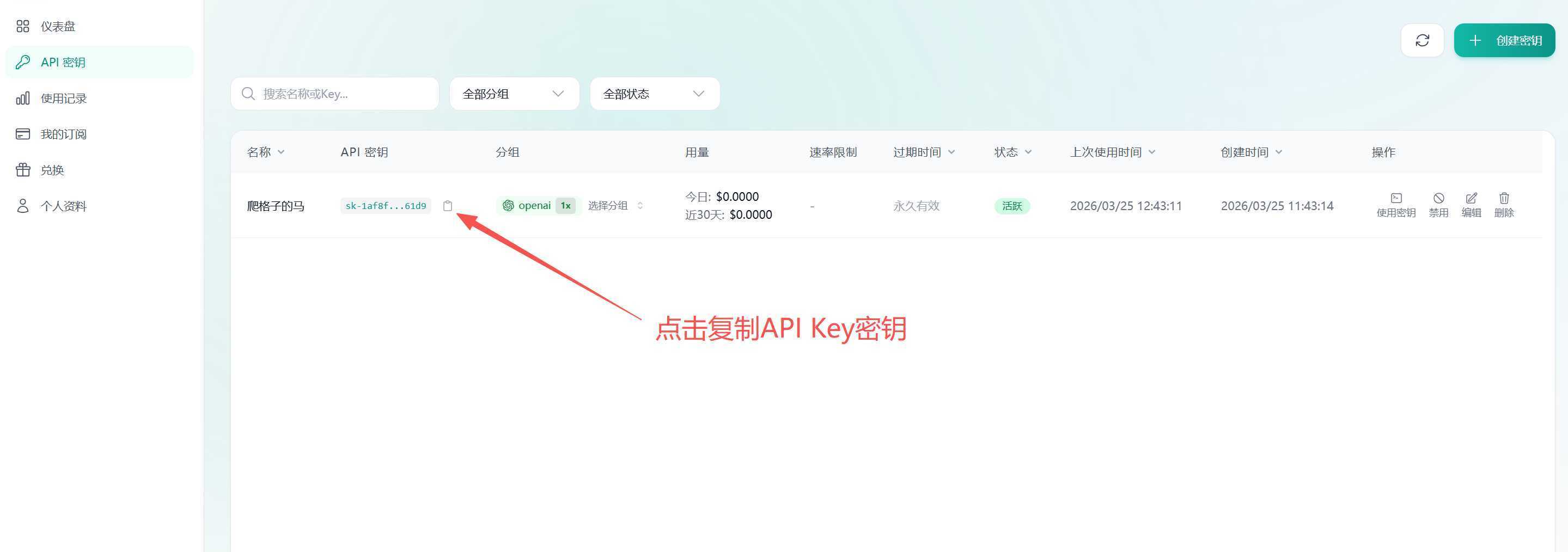API Key 步骤3